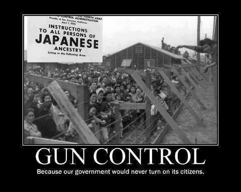 gun-control-because-our-government-would