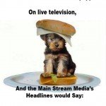 obama-could-eat-puppies-on-live-tv-and-the-mainstream-media-would-say-obama-makes-world-safer-for-cats
