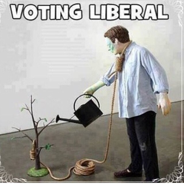 voting-liberal