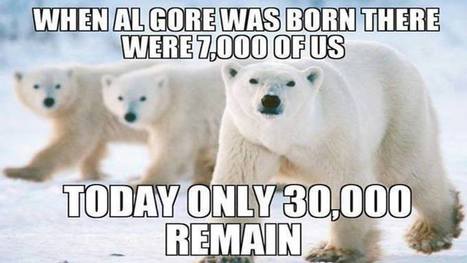when-al-gore-was-born-there-were-7000-polar-bears