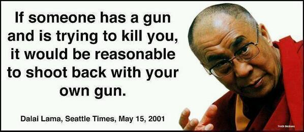 if-someone-has-a-gun-and-is-trying-to-kill-you-it-would-be-reasonable-to-shoot-back-with-your-own-gun-the-dalai-lama