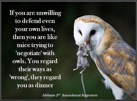 if-you-are-unwilling-to-defend-even-your-own-lives-then-you-are-like-mice-trying-to-negotiate-with-owls