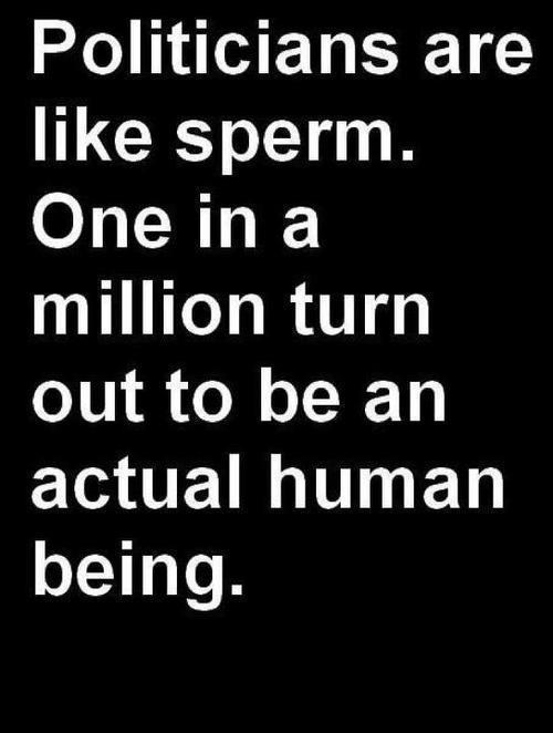 politicians-are-like-sperm-one-in-a-million-turn-out-to-be-an-actual-human-being