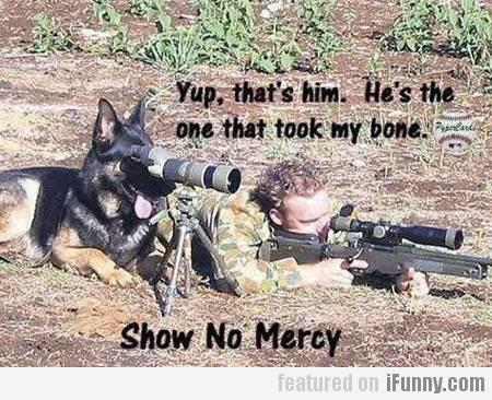yep-thats-him-hes-the-one-that-took-my-bone-show-no-mercy