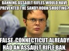 Banning Assault Rifles Would Have Prevented the Sandy Hook Shooting?