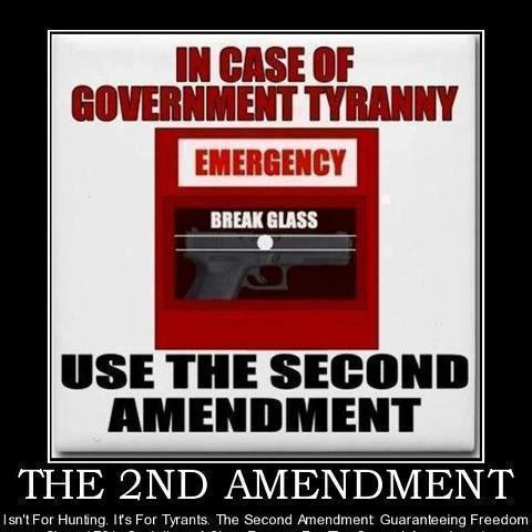 In Case of Government Tyranny Use the Second Amendment