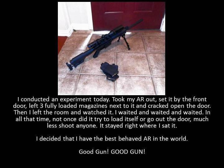 Good Gun! GOOD GUN!