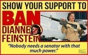 Nobody Needs a Senator with That Much Power