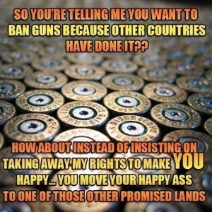 You're Telling Me You Want to Ban Guns Because Other Countries Have Done It?