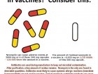 Concerned About Antibiotics in Vaccines?
