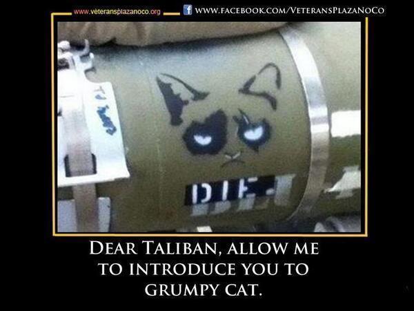 Dear Taliban, Allow Me to Introduce You to Grumpy Cat.