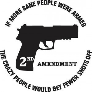 If More Sane People Were Armed; the Crazy People Would Get Fewer Shots Off
