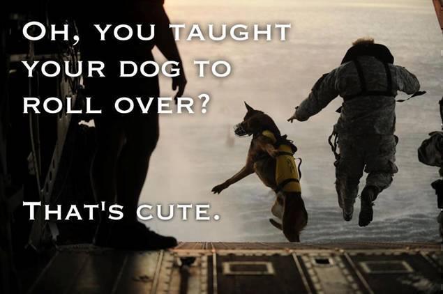 Oh, You Taught Your Dog to Roll Over?