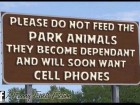 Please Do Not Feed the Park Animals They Become Dependant and Will Soon Want Cell Phones