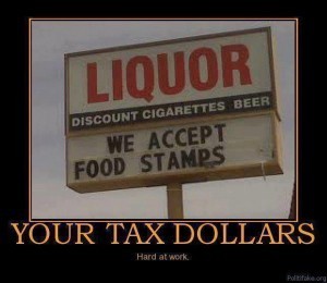 Your Tax Dollars