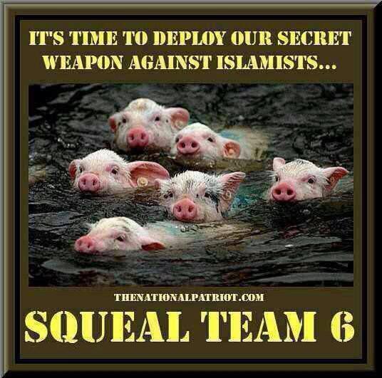 its-time-to-deploy-our-secret-weapon-against-islamists