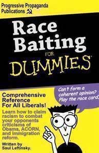 race-baiting-for-dummies-1