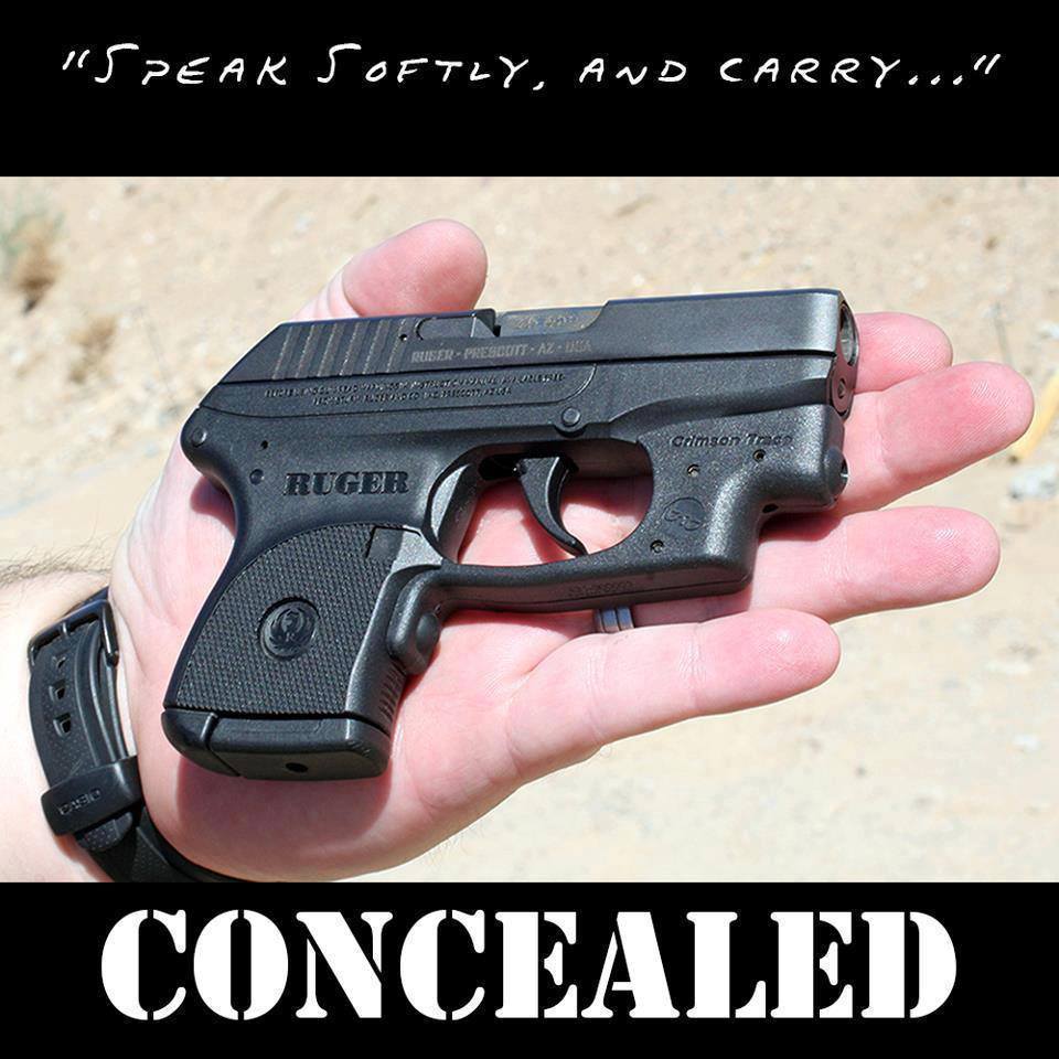speak-softly-and-carry-concealed