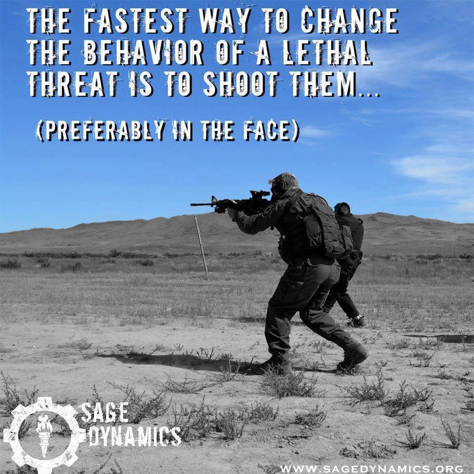 the-fastest-way-to-change-the-behavior-of-a-lethal-threat