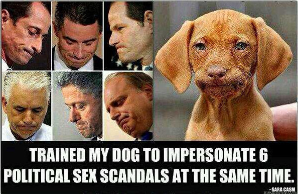 trained-my-dog-to-impersonate-six-political-sex-scandals-at-the-same-time