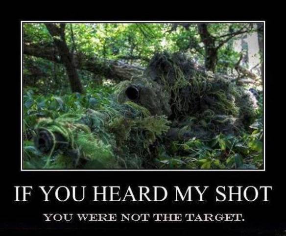 if-you-heard-my-shot-you-were-not-the-target