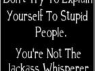Don't Try to Explain in Yourself to Stupid People