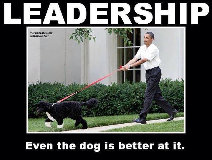 leadership-even-the-dog-is-better-at-it