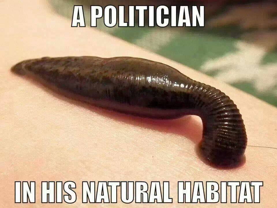 a-politician-in-his-natural-habitat