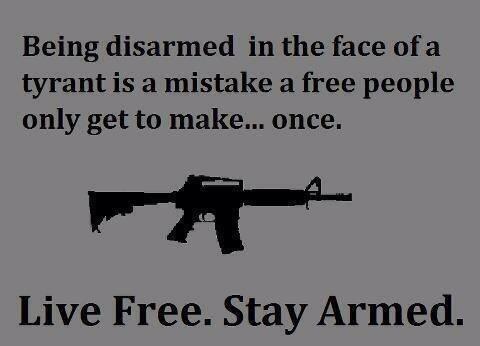being-disarmed-in-the-face-of-a-tyrant-is-a-mistake-a-free-people-only-get-to-make-once
