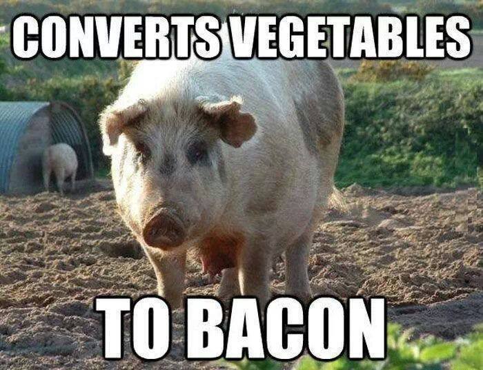 converts-vegetables-to-bacon