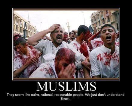 muslims-they-seem-like-calm-rational-reasonable-people-we-just-dont-understand-them