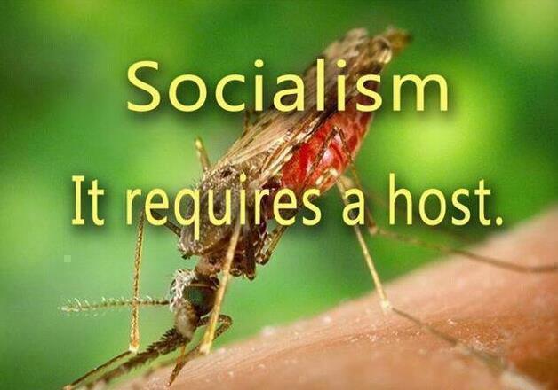 socialism-it-requires-a-host