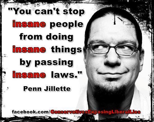 you-cant-stop-insane-people-from-doing-insane-things-by-passing-insane-laws