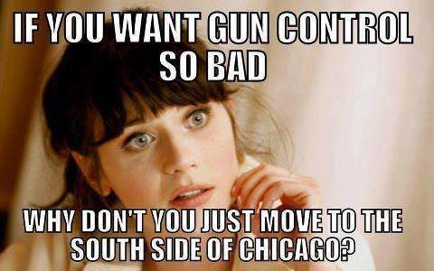 if-you-want-gun-control-so-bad-why-dont-you-just-move-to-the-south-side-of-chicago