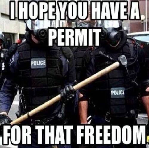 i-hope-you-have-a-permit-for-that-freedom