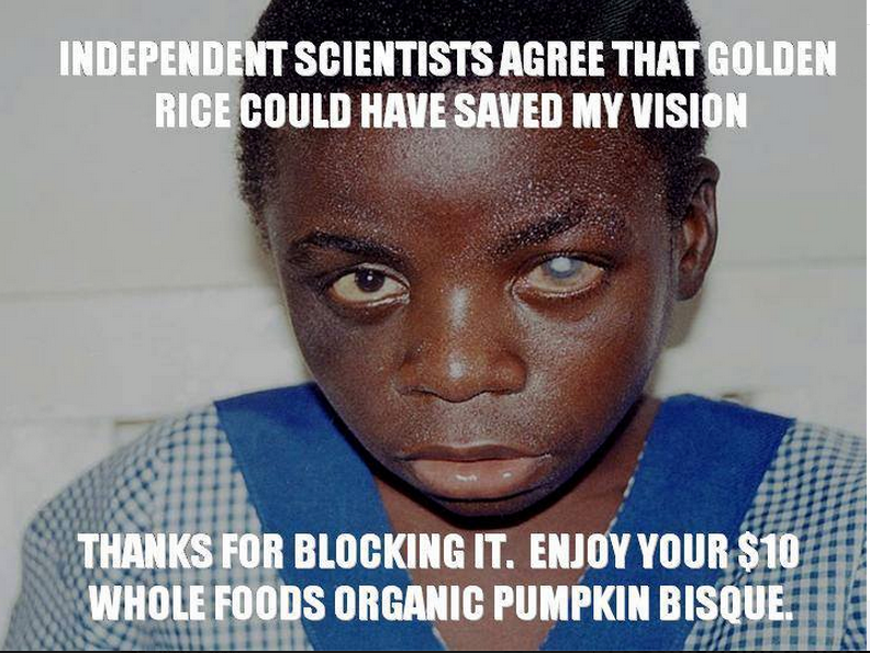 a-thank-you-note-to-the-activists-who-oppose-golden-rice