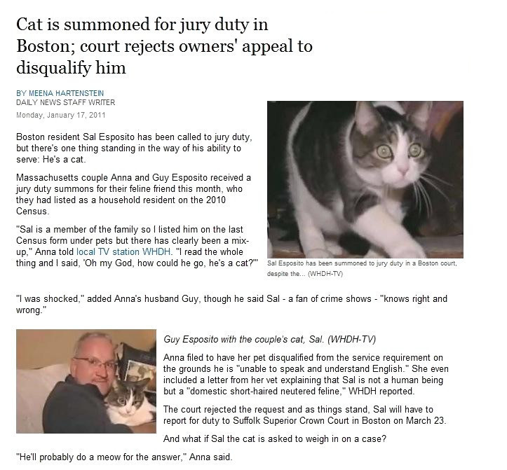 cat-is-summon-for-jury-duty-in-boston-court-rejects-owners-appear-to-disqualify-him