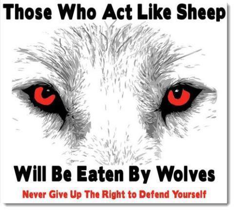 those-who-act-like-sheep-will-be-eaten-by-wolves