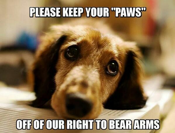 please-keep-your-paws-off-of-our-right-to-bear-arms