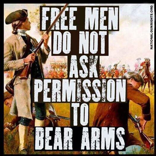 free-men-do-not-ask-for-permission-to-bear-arms