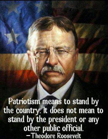 patriotism-means-to-stand-by-the-country-it-does-not-mean-to-stand-by-the-president-or-any-other-public-official