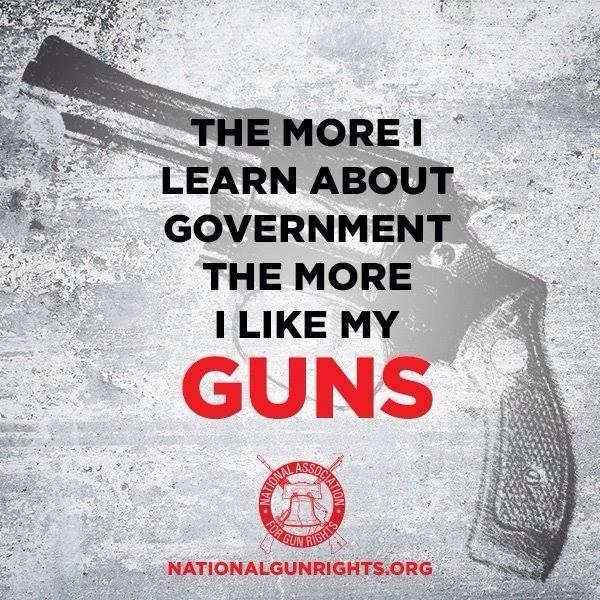 the-more-i-learn-about-government-the-more-i-like-my-guns