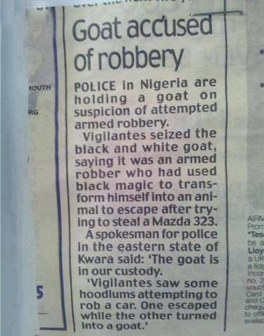 goat-accused-of-armed-robbery