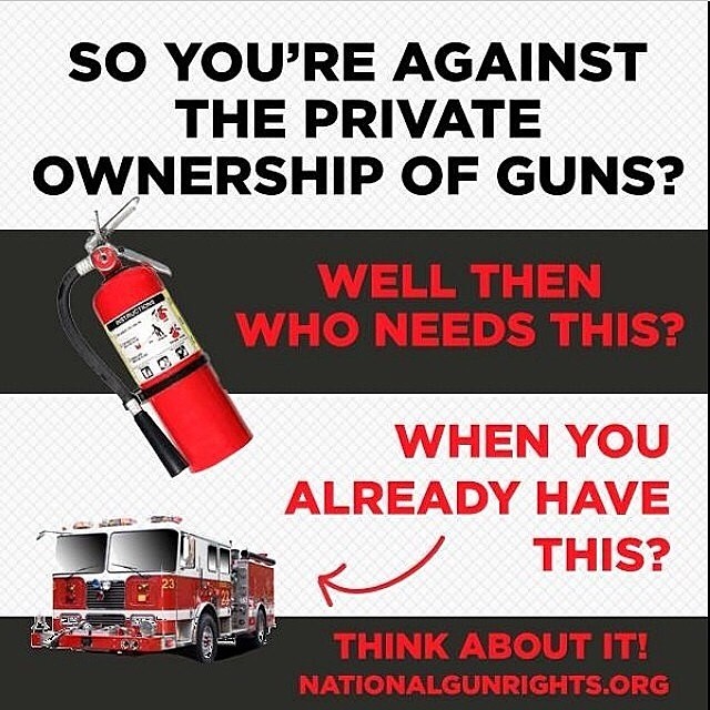 so-you-are-against-the-private-ownership-of-guns