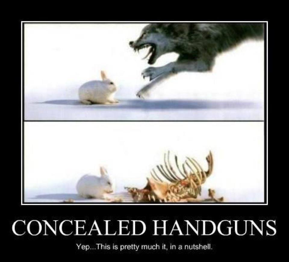concealed-handguns-in-a-nutshell