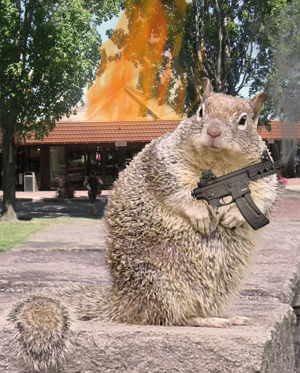 squirrel-with-ar-pistol