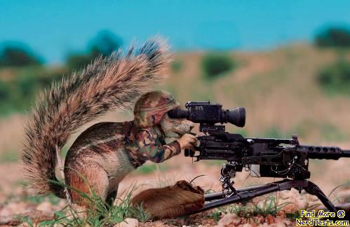 squirrel-with-heavy-machine-gun-2