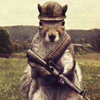 squirrel-with-m16