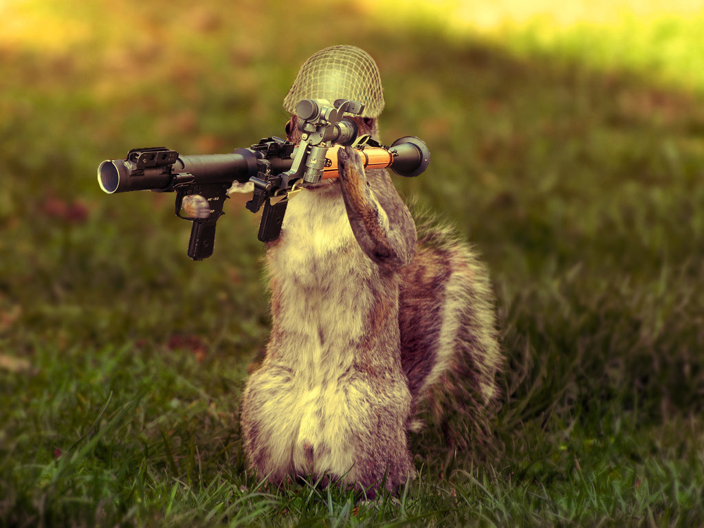 squirrel-with-rocket-launcher