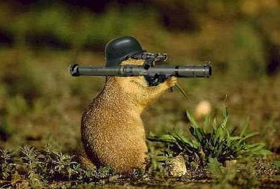 squirrel-with-rpg